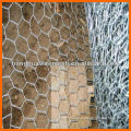 Hexagonal Wire Mesh/Chicken Mesh/Metal Building Material Mesh(Manufacturer)